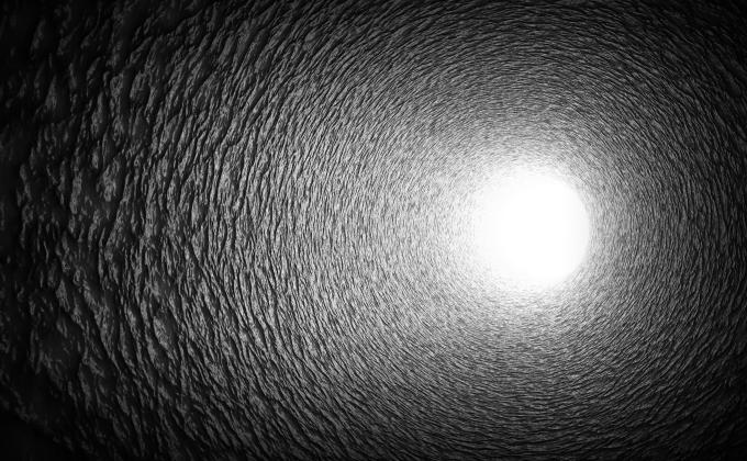 Shutterstock_1770252518_Abbas_2019