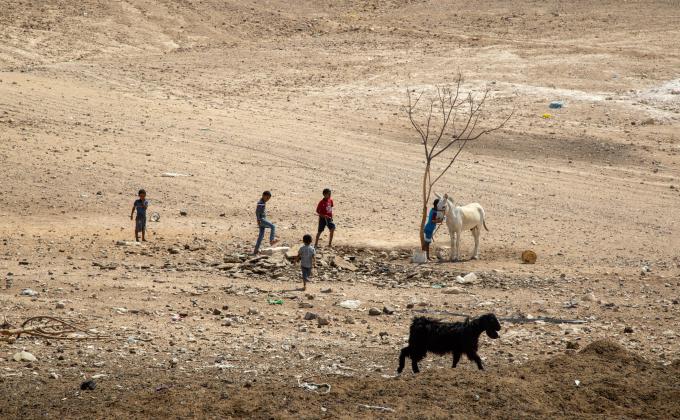 gidon pico pixabay nomad children goats