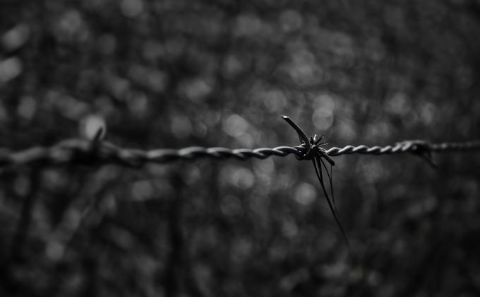 steel barbed wire